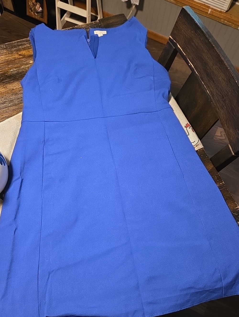 GAP Cobalt Blue Sleeveless Sheath Dress